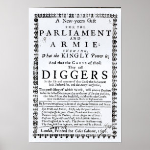 Pôster Um presente de ano novo