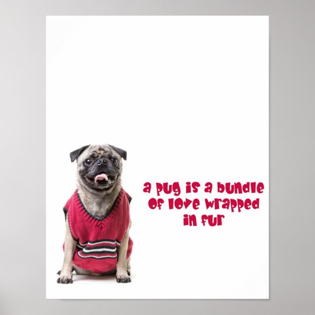 Poster Um Pug É Um Pacote De Amor Envolvido Em Peles (Frente)