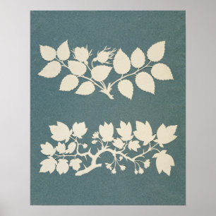 Poster Um ramo do rosa e ramo do jasmim