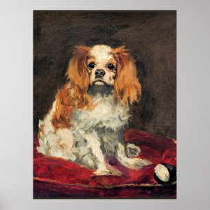 Poster Um rei Charles Spaniel, belas artes