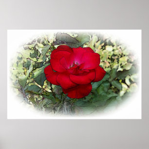 Poster Um rosa solitário