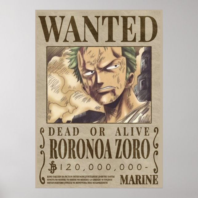 Poster Um segundo Zoro desejado (Frente)