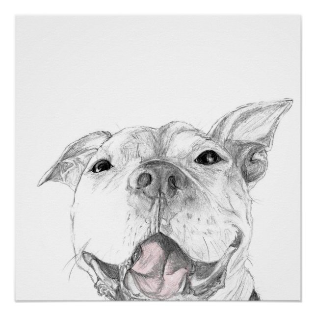 Pôster Um Sorriso de Pit Bull (Frente)