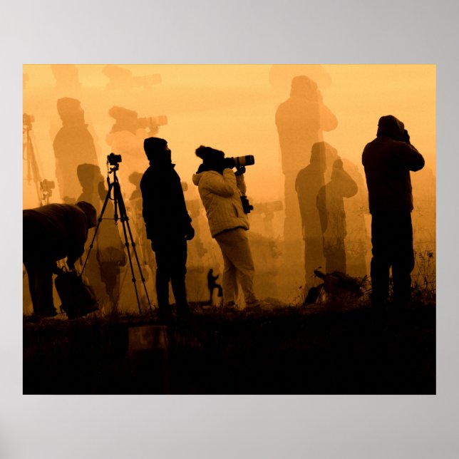 Poster Um Sunset Incrível - Fotografando Geese no Sunset (Frente)