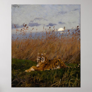 Poster Um Tigre Entre As Raias À Lua