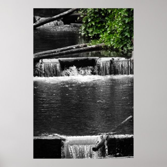 Pôster Um toque de verde (Frente)