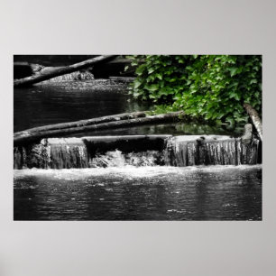 Pôster Um toque de verde