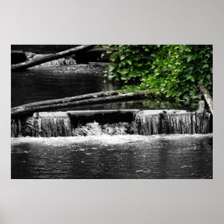 Pôster Um toque de verde