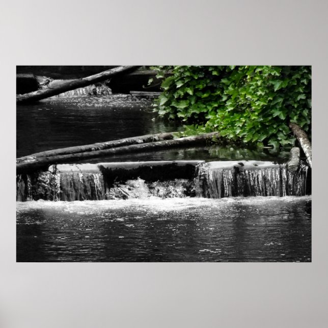 Pôster Um toque de verde (Frente)