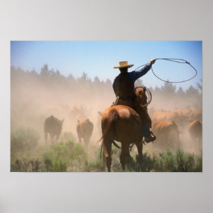 Poster Um vaqueiro trabalhando numa manada de gado