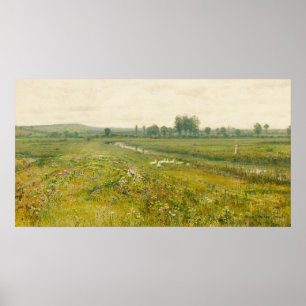 Poster Uma ampla paisagem de campo com os gansos