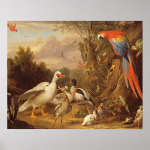 Pôster Uma arara, patos, papagaios e outras aves em terra