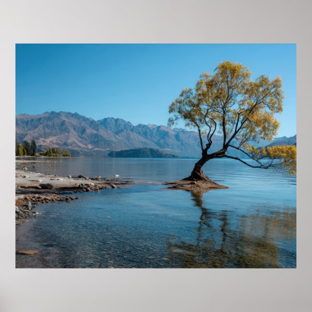 Poster Uma Árvore em um Lago (Frente)