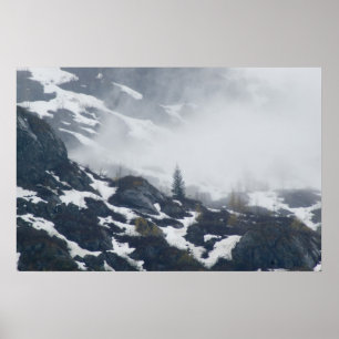 Poster Uma árvore na névoa