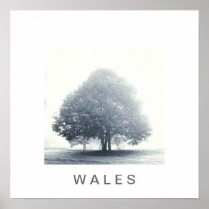 Pôster Uma árvore no nevoeiro