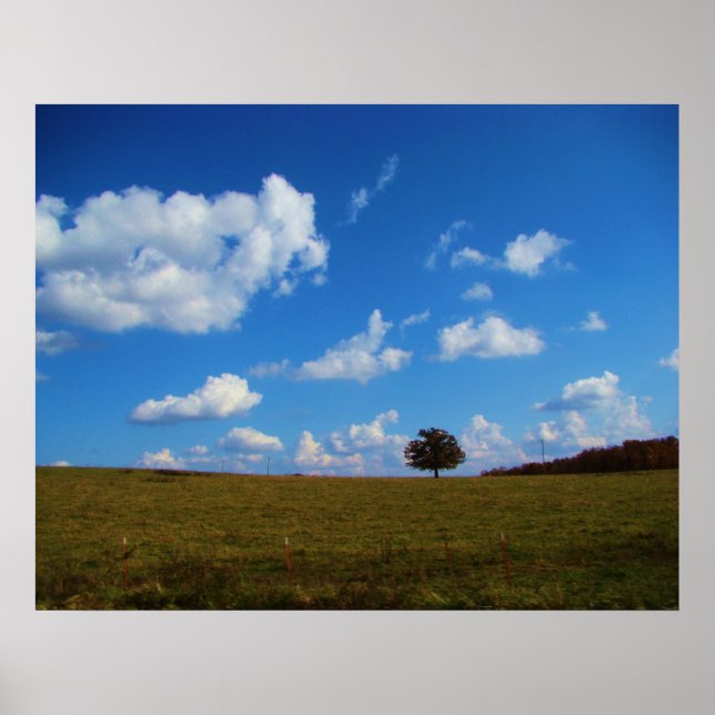 Pôster Uma árvore solitário (Frente)