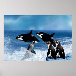 Pôster Uma baleia de um mundo