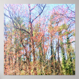 Poster Uma bela cena florestal em primavera