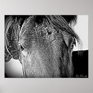 Poster Uma bela visão