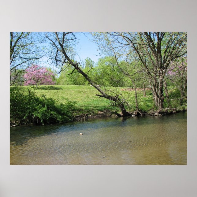 Poster Uma bela vista do rio (Frente)