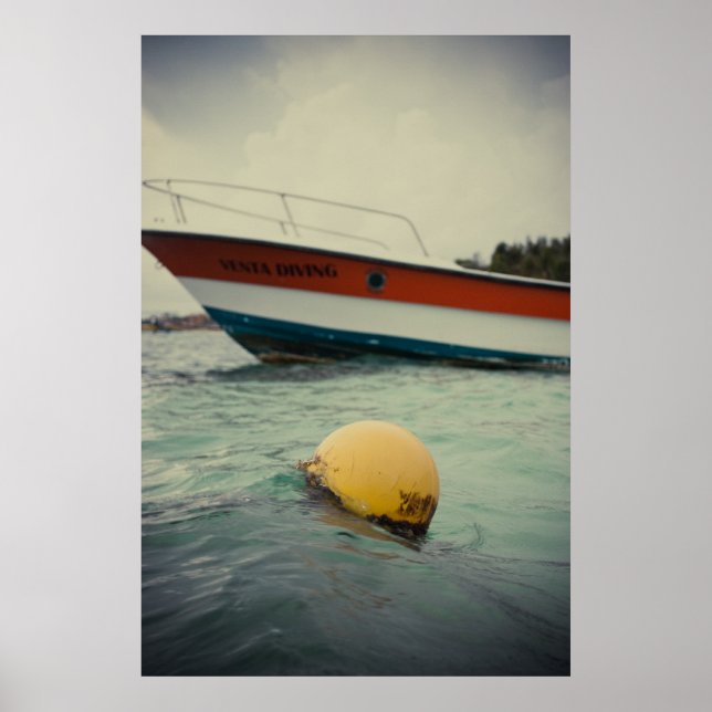 Poster Uma boia na água (Frente)