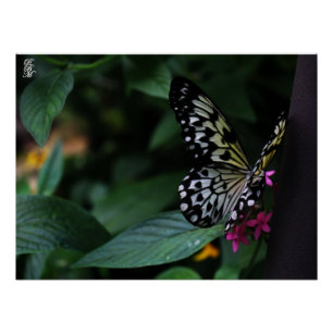 Pôster Uma Borboleta Amarela em Flores Rosas