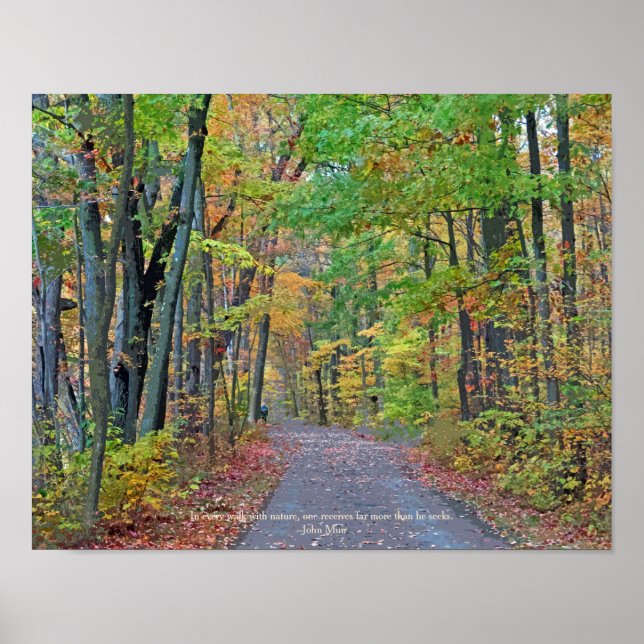 Poster Uma caminhada em Autumn Woods - Foto original (Frente)