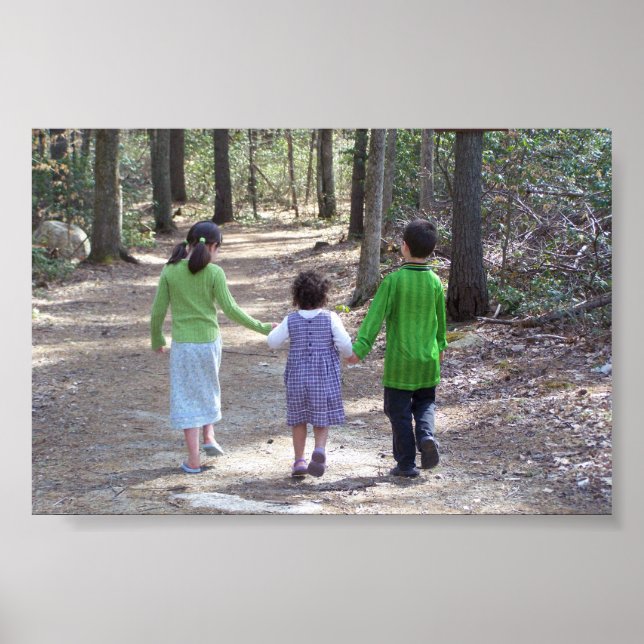 Pôster Uma caminhada na floresta (Frente)