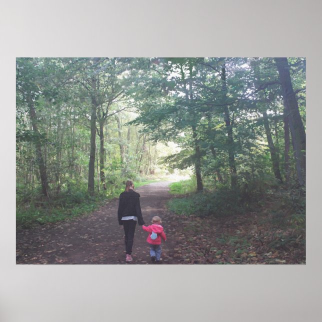 Pôster Uma caminhada na floresta (Frente)