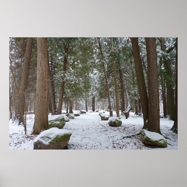 Poster Uma caminhada na floresta (Frente)