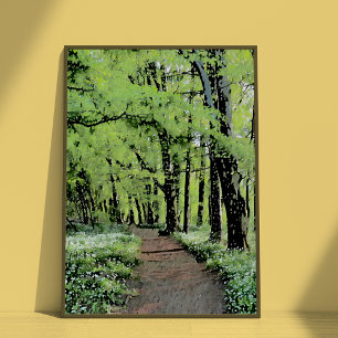 Pôster Uma caminhada na floresta