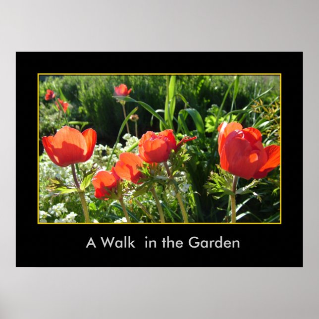 Poster Uma caminhada no jardim (Frente)