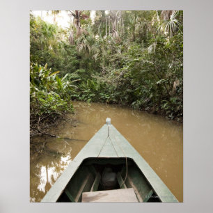 Poster Uma canoa de madeira feita da árvore de Eucylptus