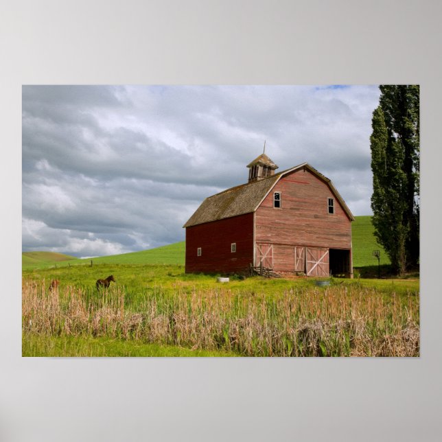 Poster Uma carona através da fazenda de Palouse 4 (Frente)