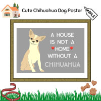 Uma Casa Não Um Cachorro Chihuahua Em Casa