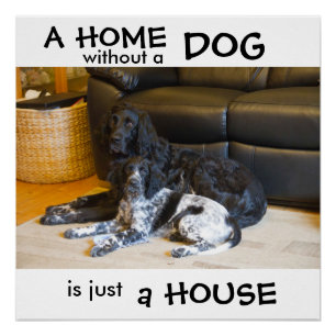 Pôster Uma casa sem cachorro é só uma casa - arte de muro