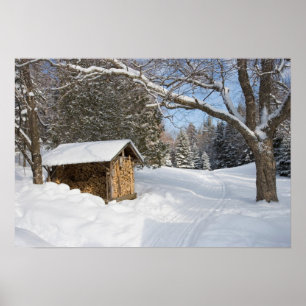 Poster Uma cena de neve no pequeno Lyford Pond da AMC