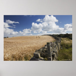 Poster Uma cerca do arame farpado construída ao longo de