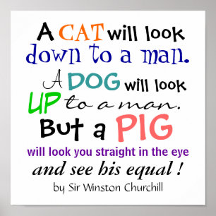 Poster Uma citação do PIG de Sir Winston Churchill