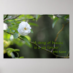 Pôster "Uma coisa de beleza é uma alegria...