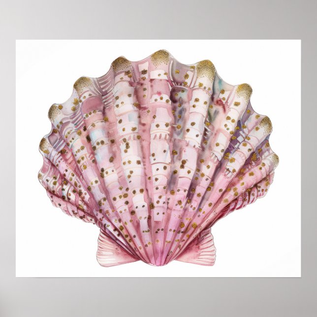Poster Uma concha de invertebrado rosa (Frente)