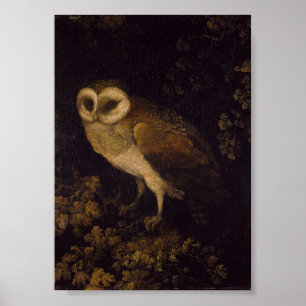 Poster Uma Coruja de Moses Haughton, o Velho