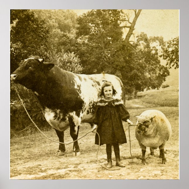 Pôster Uma Criança Deve Levá-Los (Frente)