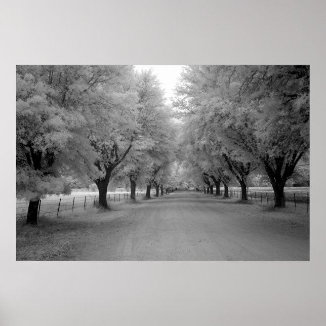 Pôster Uma estrada rural (Frente)