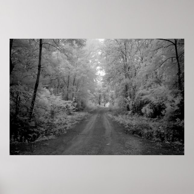 Pôster Uma estrada rural (Frente)