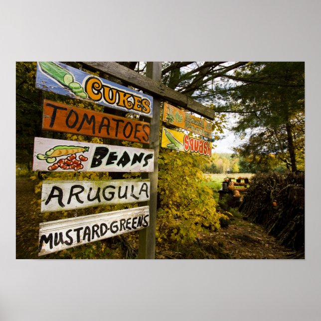 Pôster Uma fazenda em Holderness, New Hampshire. (Frente)