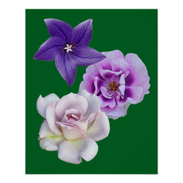 Pôster Uma flor (Frente)