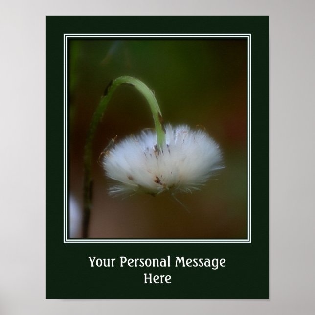 Pôster Uma Flor Fofa Crie Seu Próprio Personalizado (Frente)