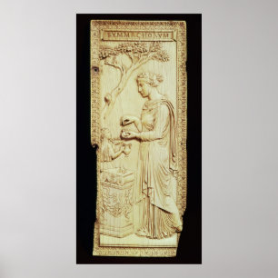 Pôster Uma folha do simachi Diptych