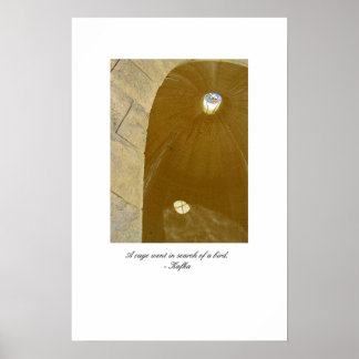 Poster uma gaiola foi em busca de uma ave